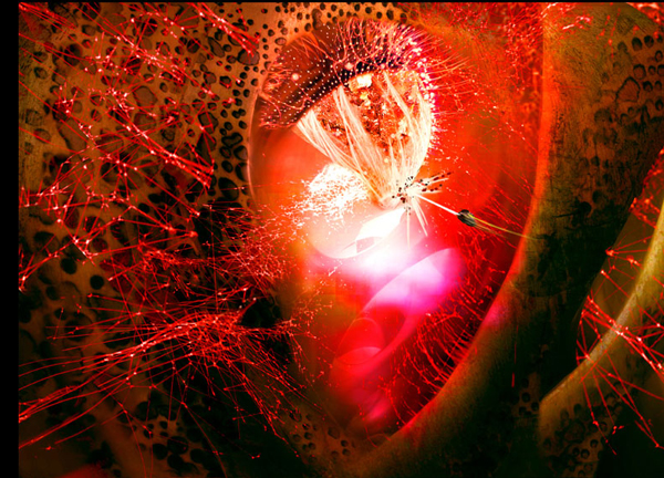 DopasoGuardians Vol2